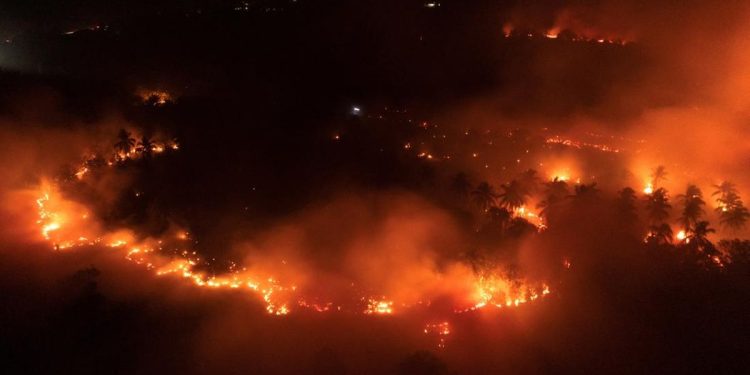 Kebakaran Meluas di Kawasan Cagar Alam Gunung Ijen