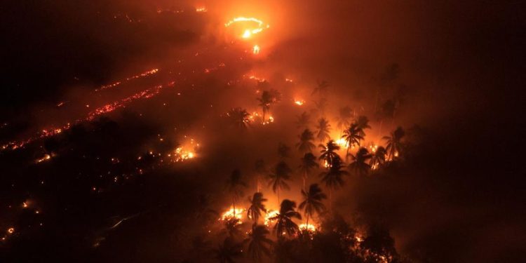 19 Perusahaan Diduga Terlibat, Kasus ISPA Meningkat Tajam