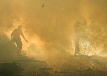 Karhutla Gunung Merapi di TWA Kawah Ijen Mencapai Luas 20 Hektare