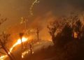 Polri Tetapkan 245 Tersangka Karhutla dengan Luas Lahan Terbakar 5.859 Hektare