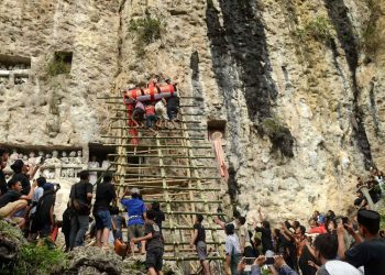 Karhutla Toraja Utara, Ratusan Peti Jenazah Tradisional Terbakar