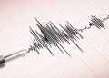 Rumah dan Sekolah Rusak Akibat Gempa M6.1 di Sumba
