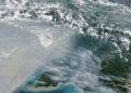 Jumlah Titik Panas Karhutla Papua Selatan Menurun Masih Terdapat 65 Hotspot