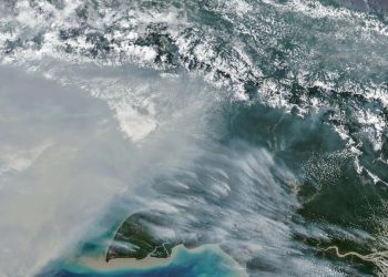 Jumlah Titik Panas Karhutla Papua Selatan Menurun Masih Terdapat 65 Hotspot