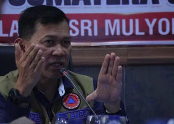 Petakan 44 Area Terbakar di Sumsel Diduga Terkait Perluasan Lahan oleh BNPB