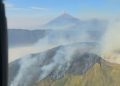 Karhutla Melanda Lima Area Gunung di Jawa Timur
