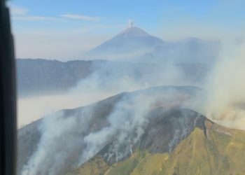 Karhutla Melanda Lima Area Gunung di Jawa Timur