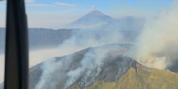 Karhutla Melanda Lima Area Gunung di Jawa Timur