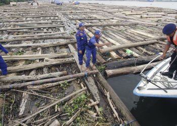 TNI AL Menangkap 2 Kapal Selundupkan 8000 Kayu Ilegal di Pulau Buru