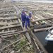 TNI AL Menangkap 2 Kapal Selundupkan 8000 Kayu Ilegal di Pulau Buru