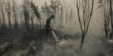 Minim Dukungan Relawan Karhutla Tanjung Puting Menghadapi Kewalahan