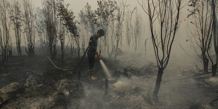 Minim Dukungan Relawan Karhutla Tanjung Puting Menghadapi Kewalahan
