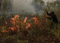 Malaysia Tawarkan Bantuan Pesawat dan Helikopter Atasi Kebakaran Hutan dan Lahan