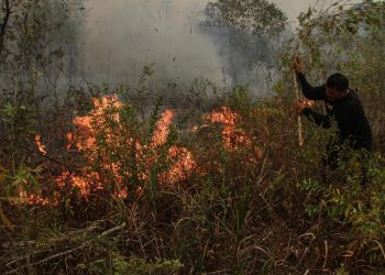 Malaysia Tawarkan Bantuan Pesawat dan Helikopter Atasi Kebakaran Hutan dan Lahan