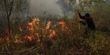 Malaysia Tawarkan Bantuan Pesawat dan Helikopter Atasi Kebakaran Hutan dan Lahan